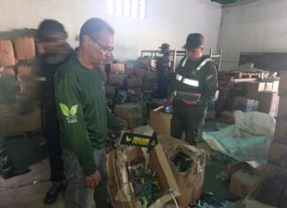 Decomisan más de 74mil paquetes de musgo en Carabobo que pretendían comercializar en época navideña Musgo