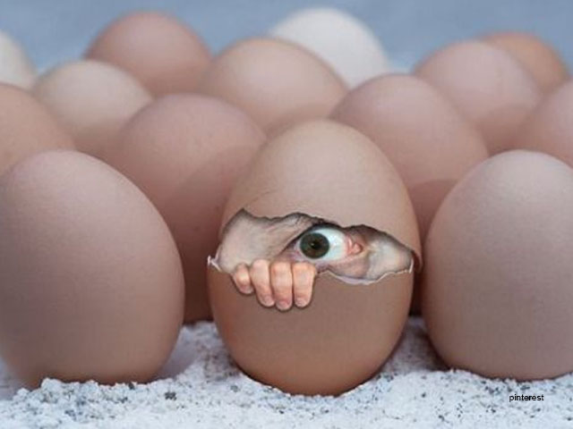 Escasez huevos EEUU