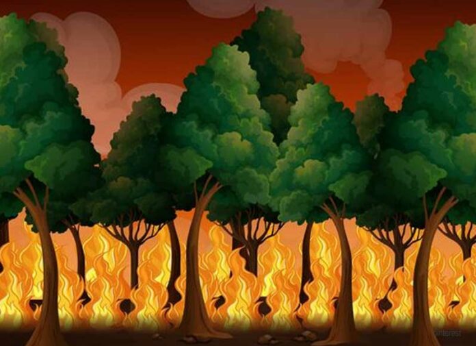 incendio Parque Henri Pittier